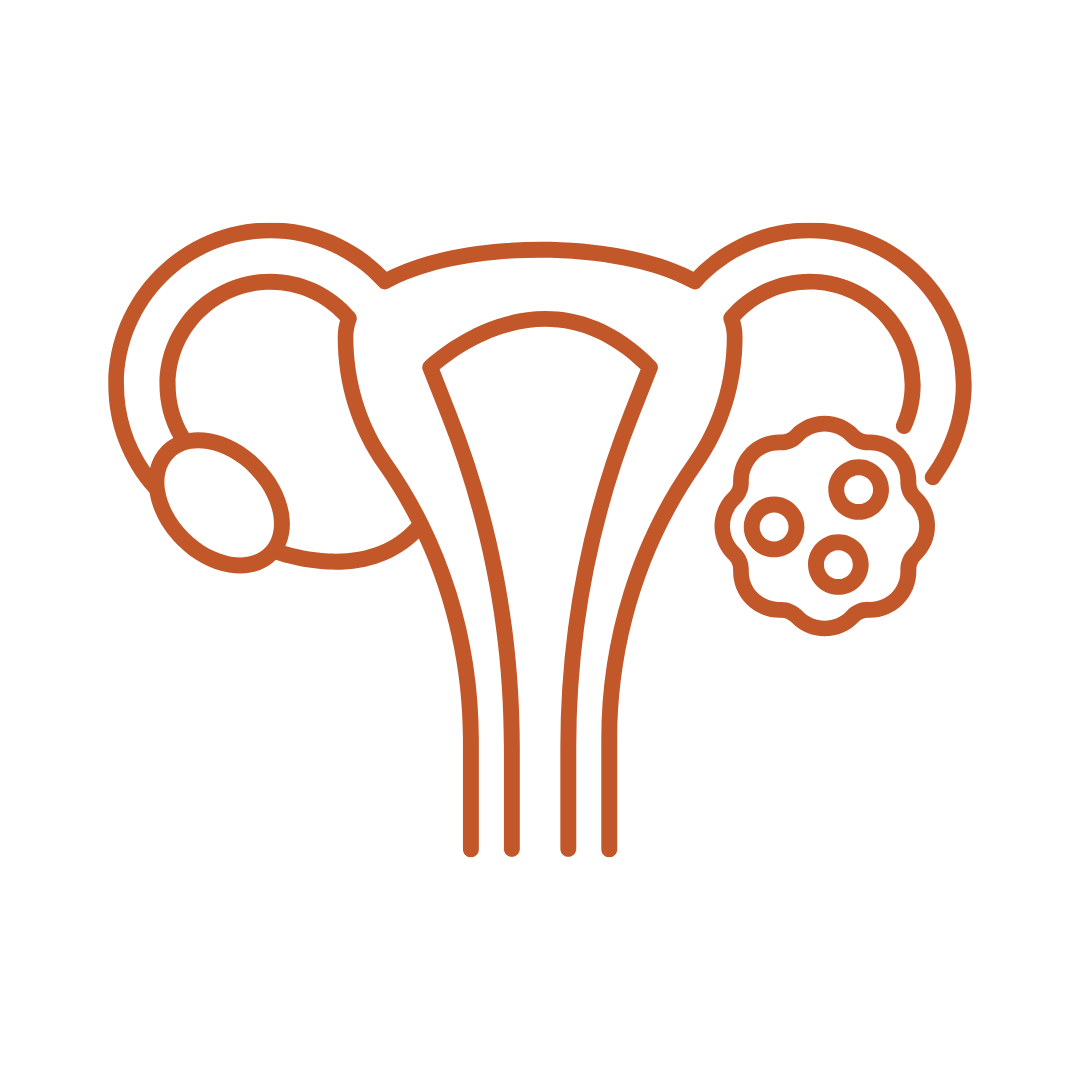 Uterine Health