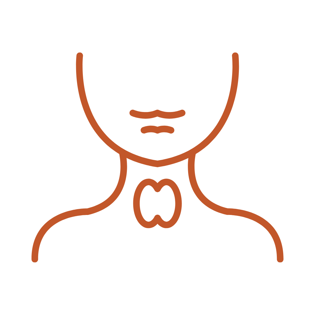 Thyroid Balance