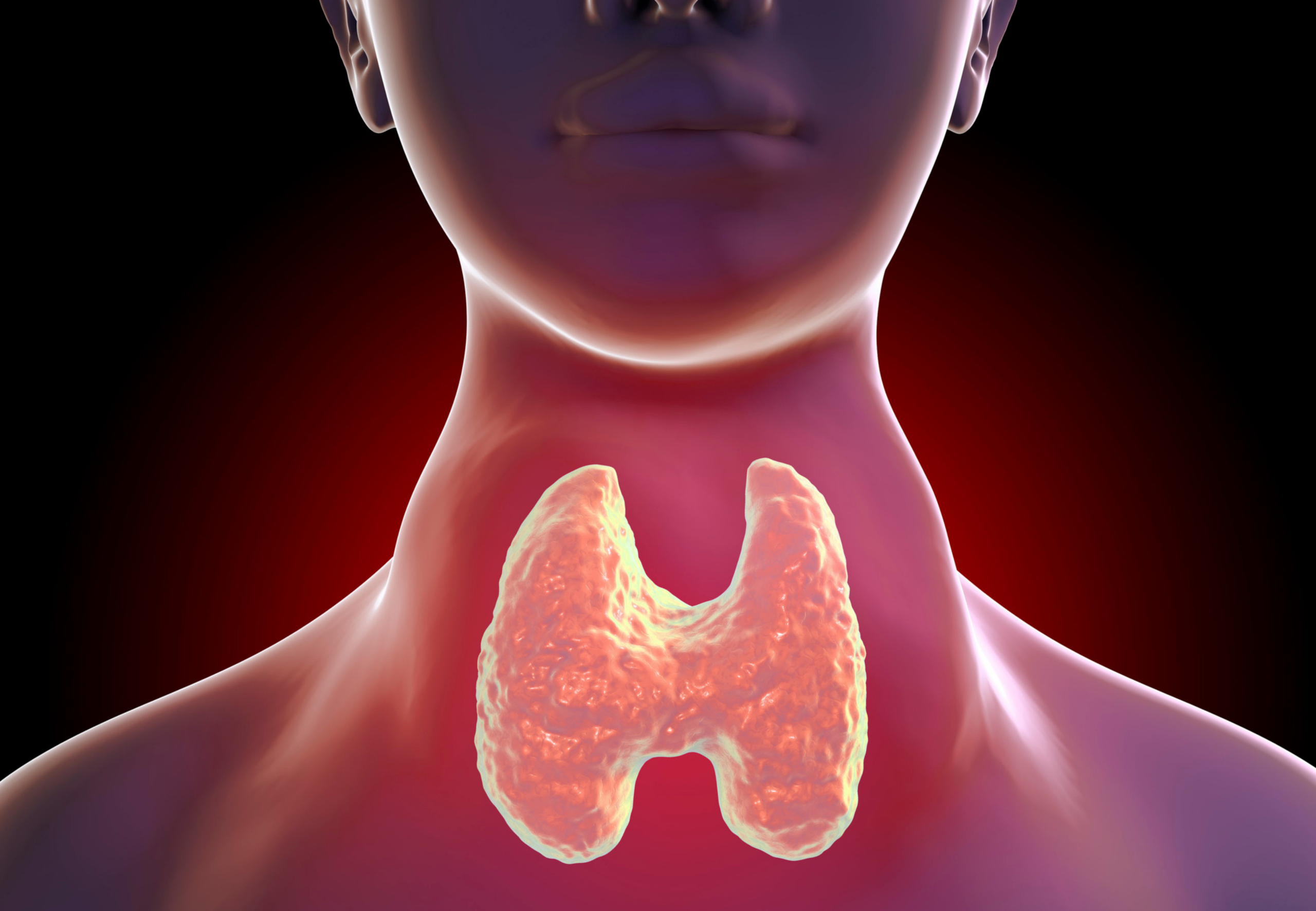 Thyroid