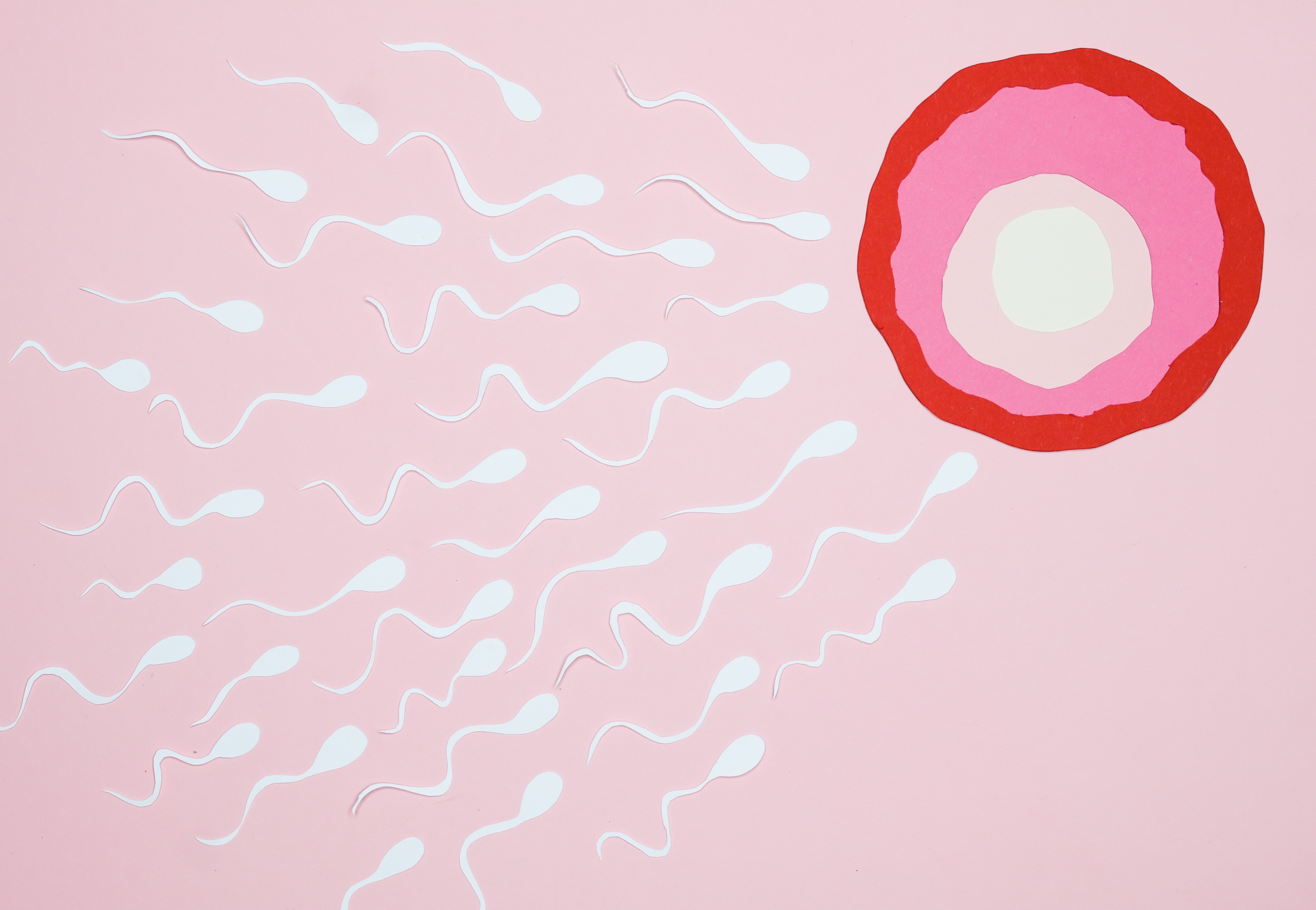 Fertility